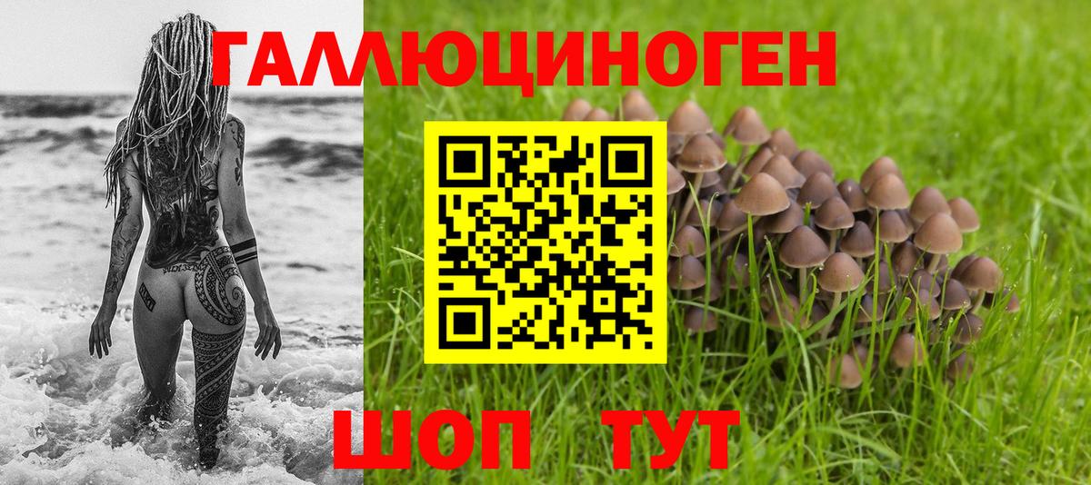Галлюциногенные грибы мицелий  Галлюциногенные грибы Magic Shrooms  Анапа  Вход с VPN 