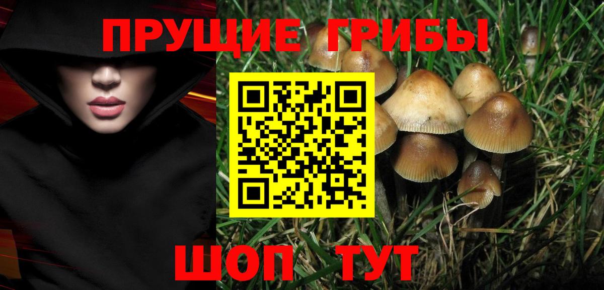 Псилоцибиновые грибы Cubensis Анапа